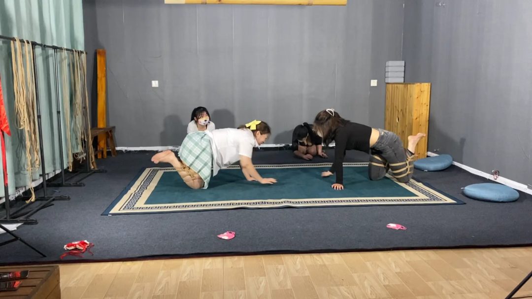 四人k9下集，犬姿大战，精彩不断-5