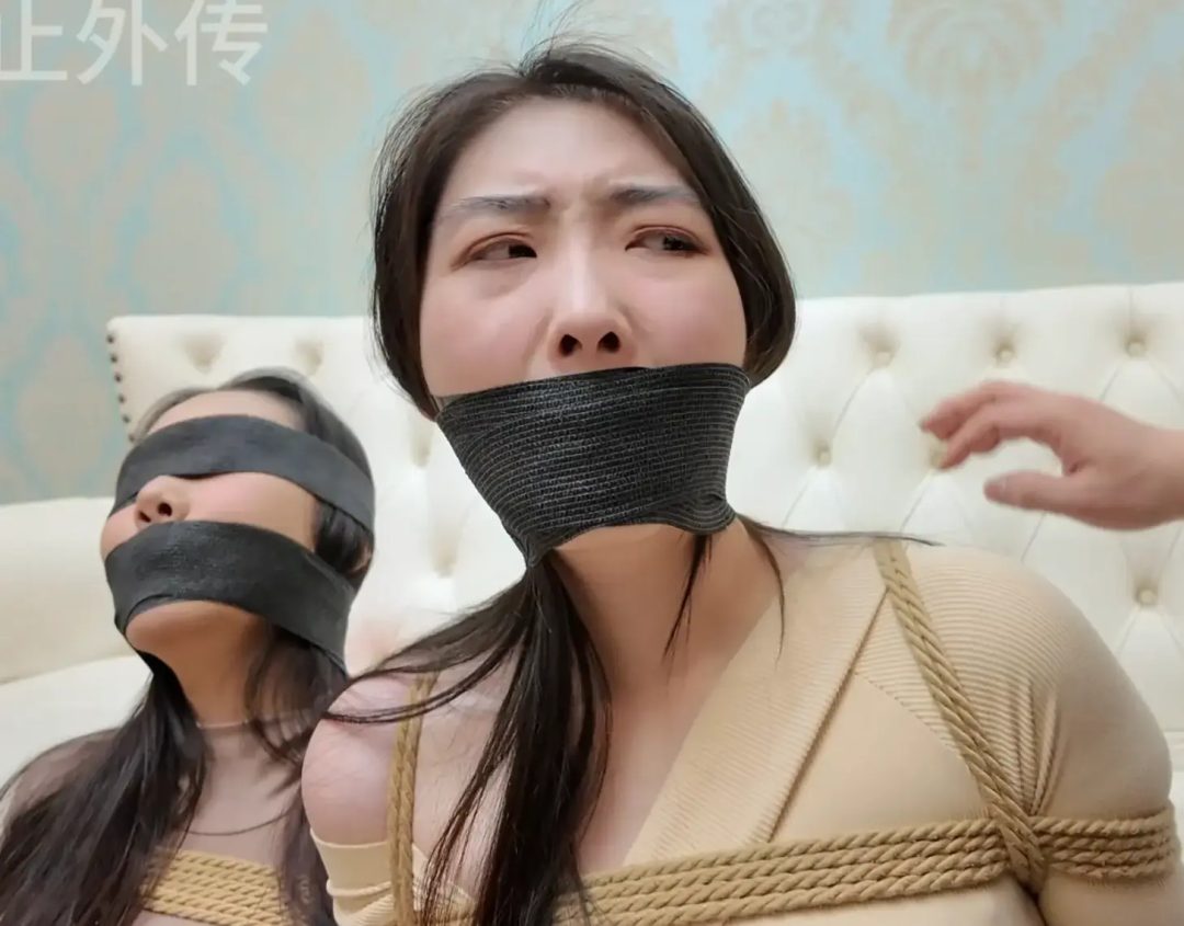 【枫叶工作室】《律师惊魂记》合集-7