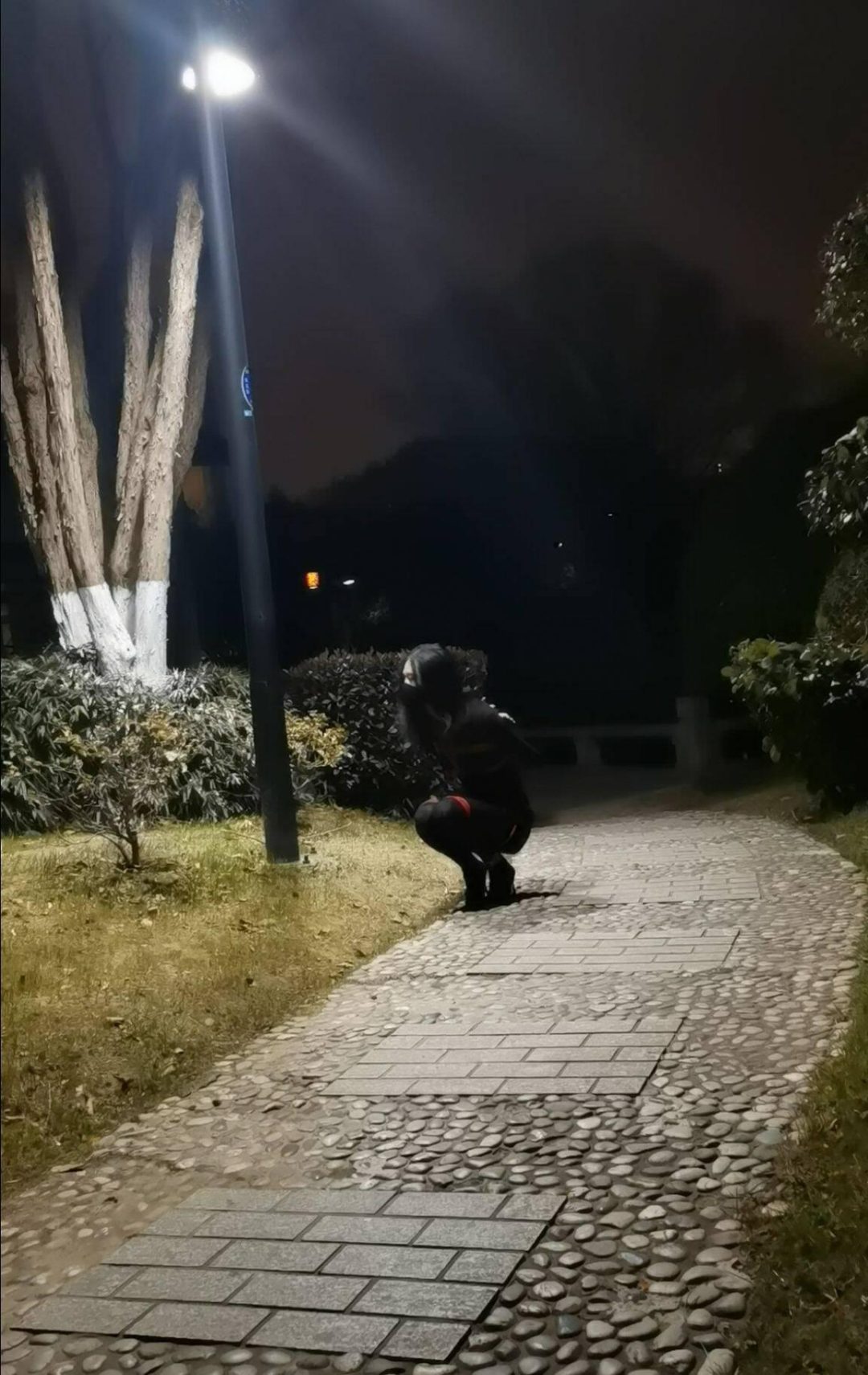 小公园外出自缚-3
