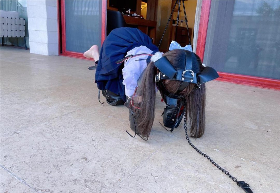 茶茶户外人形犬K9初体验-1