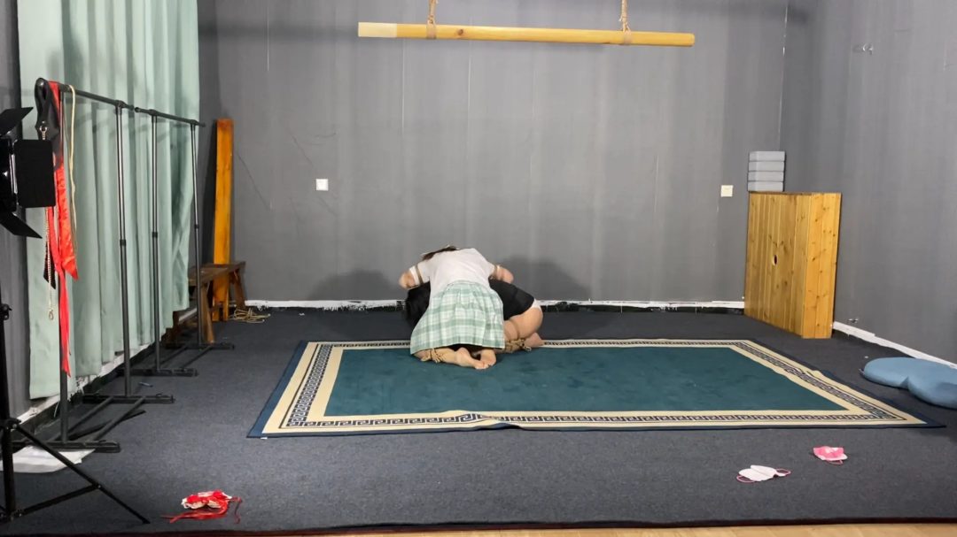 四人k9下集，犬姿大战，精彩不断-8