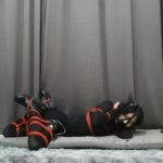 k9钢钩马具口球自缚