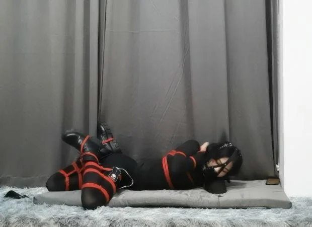 k9钢钩马具口球自缚-1