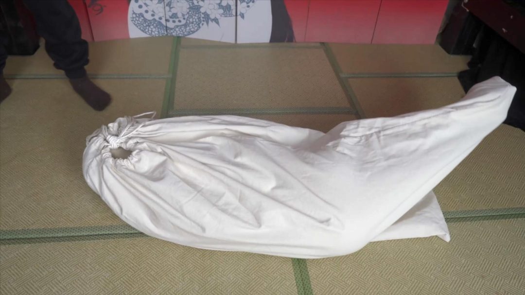 奇异冒险，梦境剧情向-8