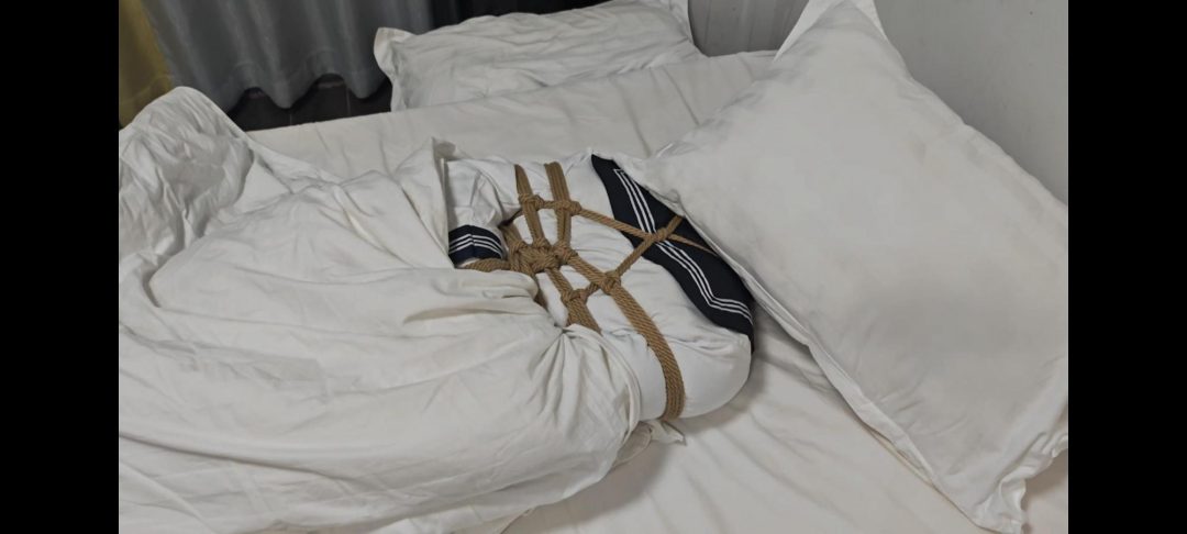 jk伪娘 男娘，驷马-2