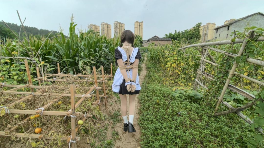 奇妙的旅途 路上车来车往 旁边路过的车会不会看到后排被绑上的女仆 欧式直臂 并腿 驷马 野外露出-5