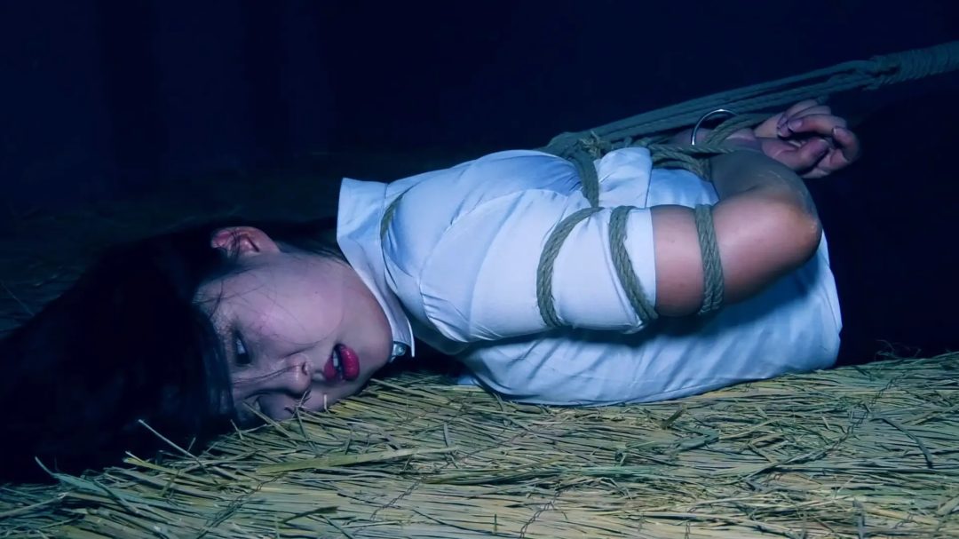 定拍转公映《双花卧底 》 第一集 美女秘书被全天候捆绑锁着工作-2