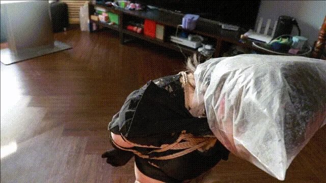 全身动都动不了的极限直臂驷马紧缚！-1