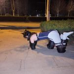 k9户外遛狗式爬行调教 sp 死库水配白丝双马尾 长距离爬行