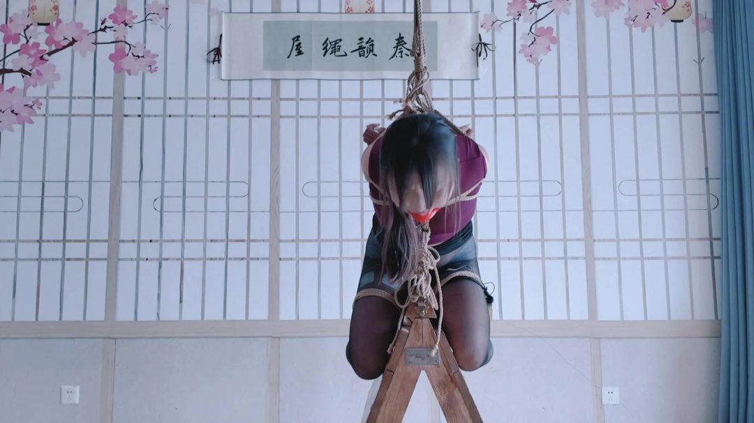 秦韵绳屋工作室定拍：玖儿木马吊缚郊狼电击 疼的崩溃大哭-5