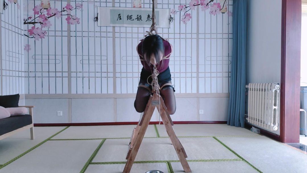 秦韵绳屋工作室定拍：玖儿木马吊缚郊狼电击 疼的崩溃大哭-4
