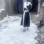暴躁的主人