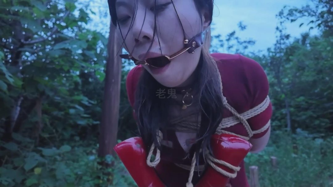 《夏可野外闷热炼狱上》【咖丝高跟/野外/湿身脏身/空姐重口原味丝袜堵嘴/驷马吊】-9