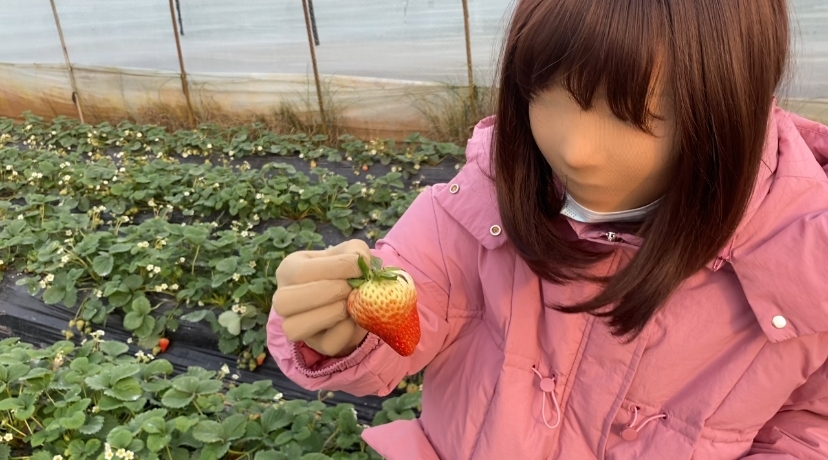 继爱姬老前辈后。咱们也穿着zentai全包去草莓采摘园了~走另类的路线，展示个人的风采，不为别人的言论和目光所活-4