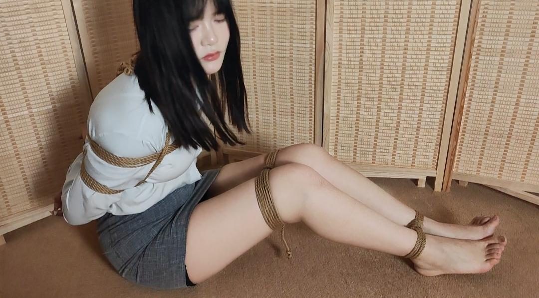 秘书小苏的捆绑大全集-8