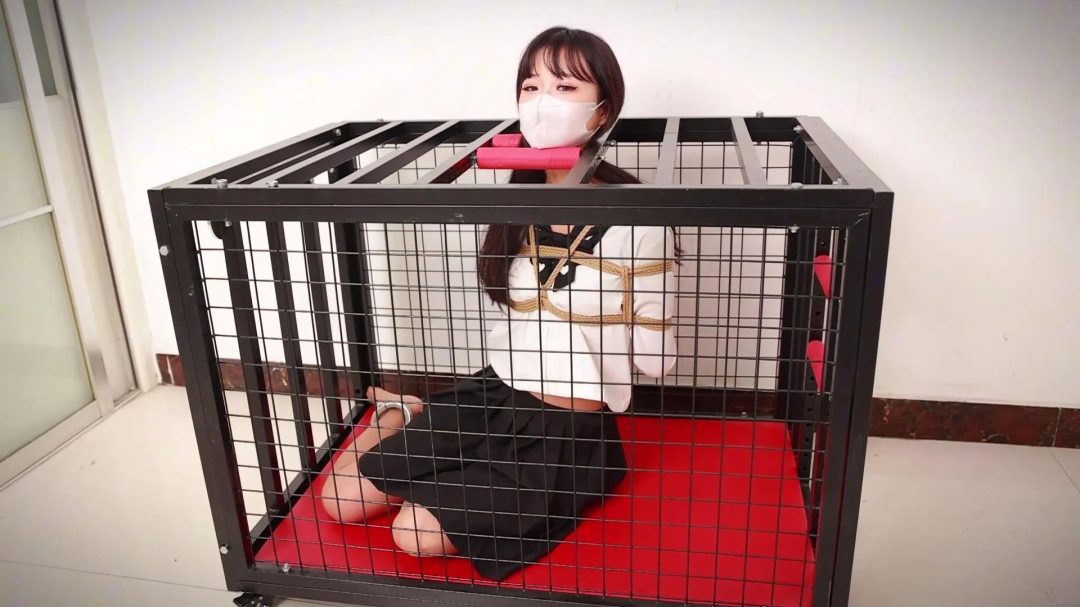 北北被关进笼子啦，日式后手戴着脚镣的北北不甘不愿的被关进了笼子里。只有一个头部被锁在笼子上方。从缝隙里伸进去两根痒痒挠挑逗下。-6