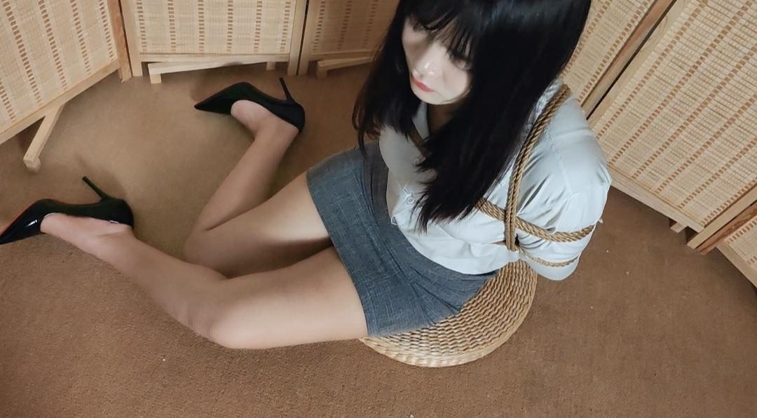 秘书小苏的捆绑大全集-19