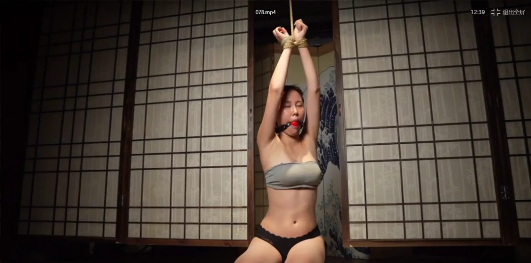 内阁束缚-2