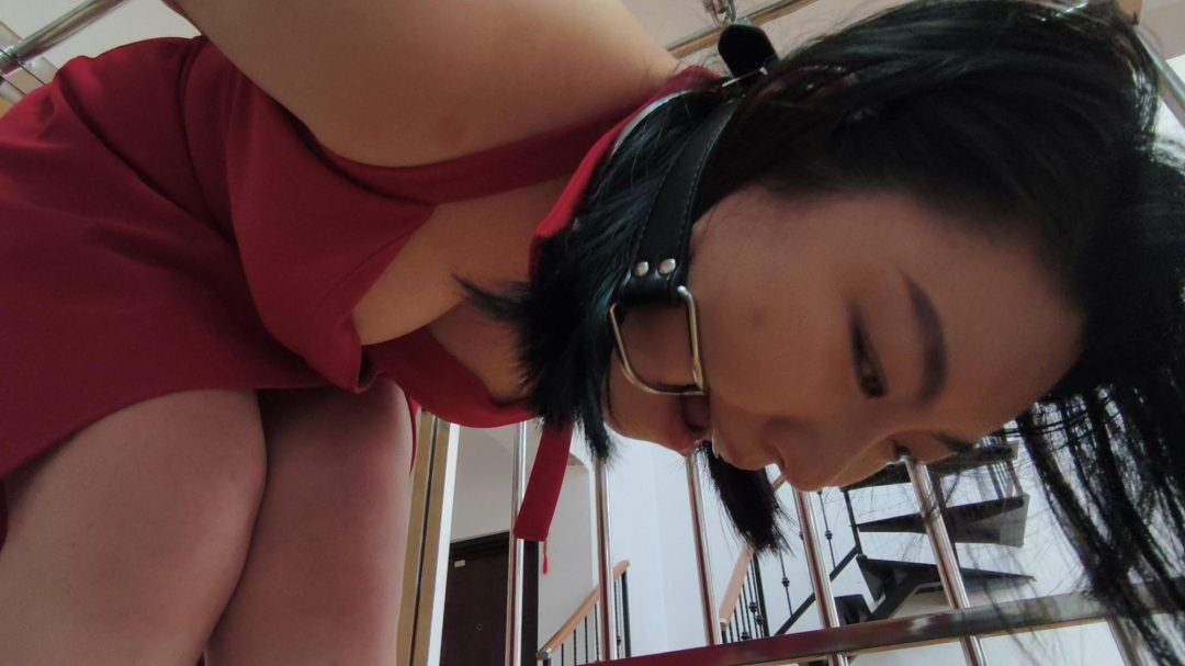 绳模 体验笼子 镣铐 颈手铐在笼子里 动弹不得 跪姿 驷马 拷在笼子里 口水直流。。-7