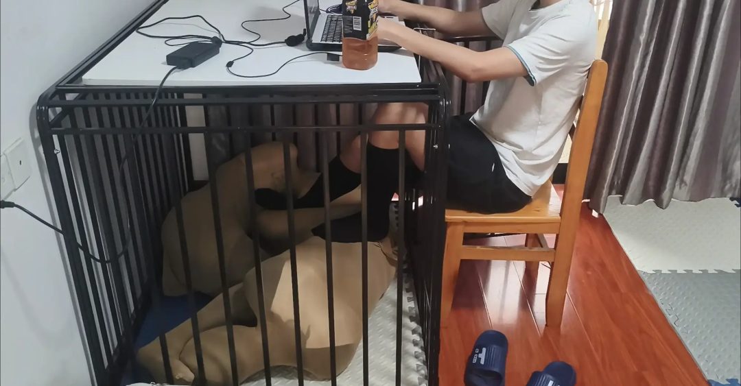 特殊订单三：情侣双人丝袜全包进笼子当脚垫-1