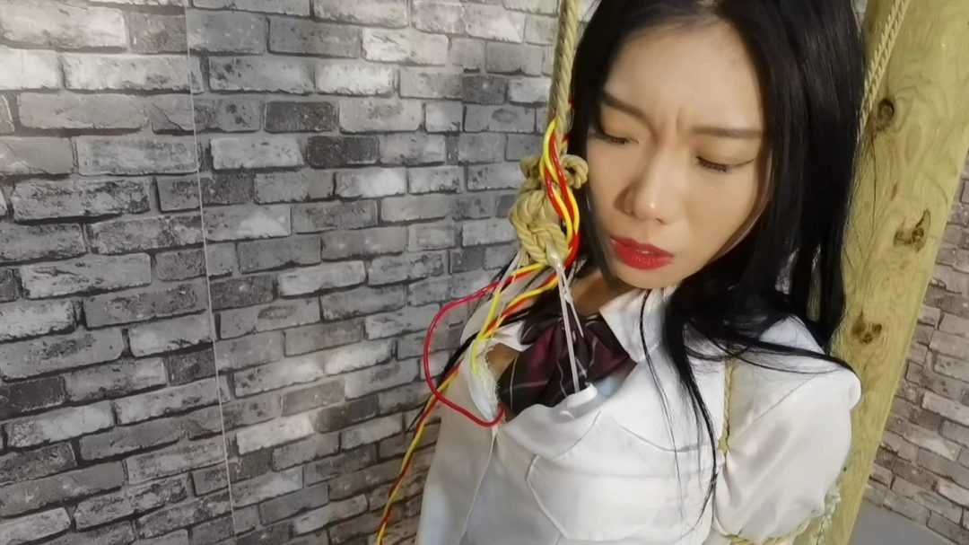 月仙儿被绑在老虎登上,把lu头通过2个滑轮吊在身后的手碗上,手只能偏上举着,往屁股方向拽着lu头痛,,还要遭受电击刺激,太痛苦了-10
