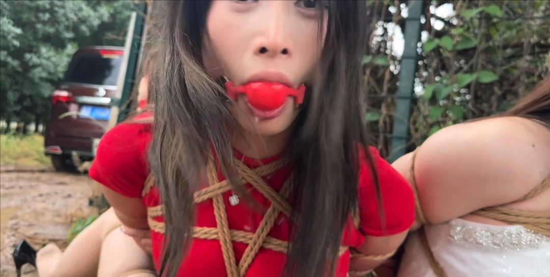 金宝定制《野外车劫》第四集 完结篇-2
