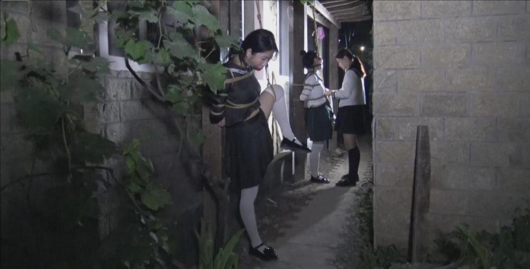 《夜晚葡萄棚下调教三女M》 女王夜晚在葡萄棚下捆绑调教三女M,三女M被捆绑在木柱上面-3