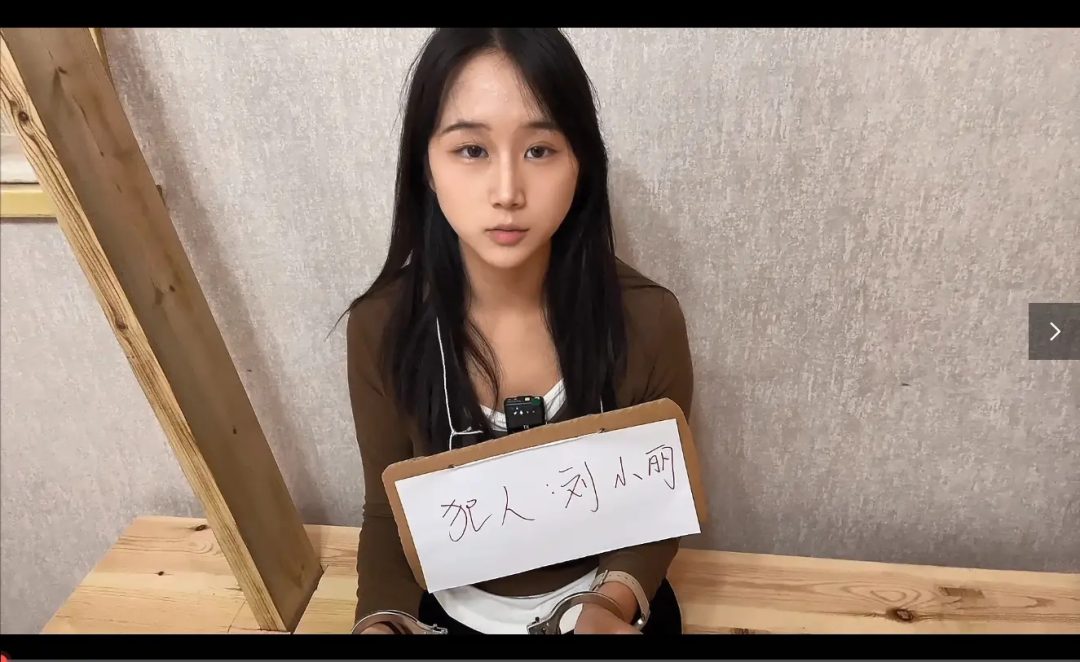 犯人刘小丽 诈骗犯罪之路 提审 询问 宣判-1 犯人刘小丽 诈骗犯罪之路 提审 询问 宣判-1