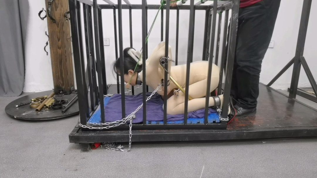 铁笼 禁锢 被紧紧禁锢起来-1