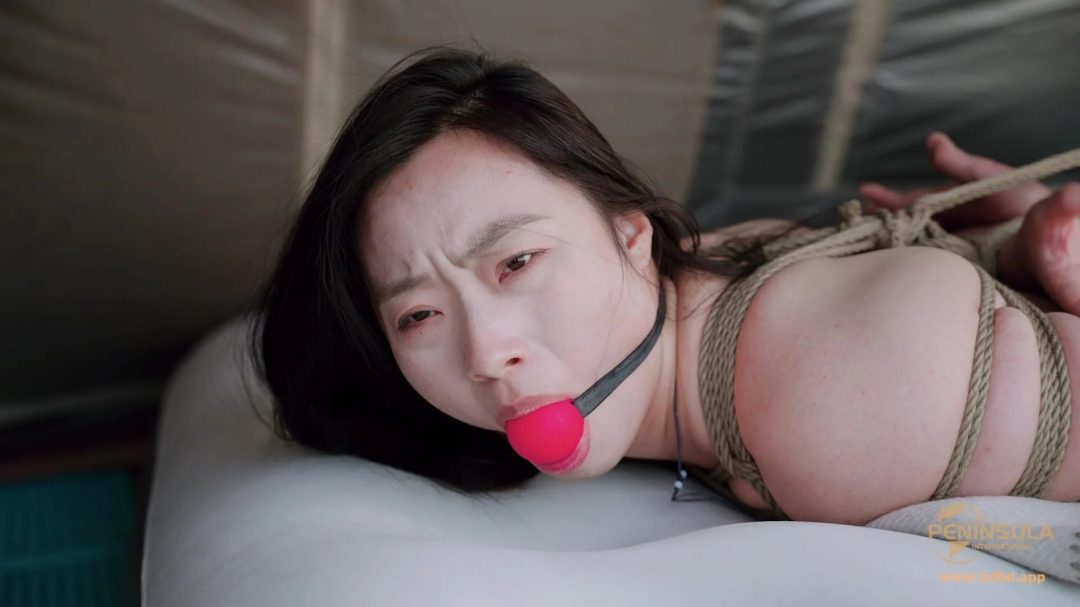 【半岛束艺台】【奎因】说了几百遍了，白天不要做梦-6