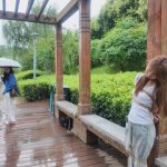 绳爱今生 原配的报复