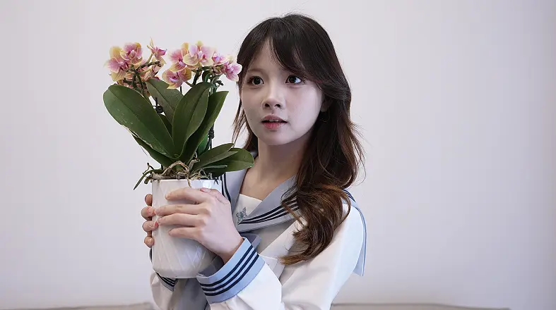 【定拍转公映】不良摄影师-1