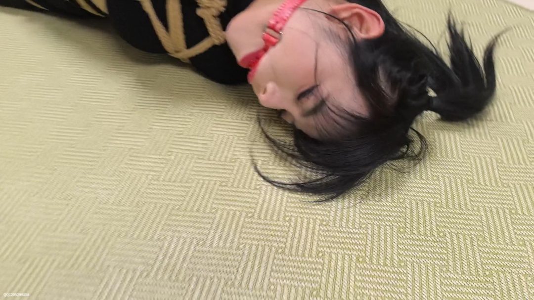 蝴蝶入室捆绑合集-4