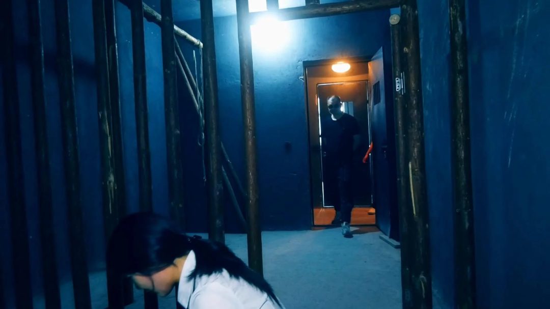 定拍转公映《双花卧底 》 第二集 两美女秘书在押往总部时候路上逃跑可惜又被抓回来-10
