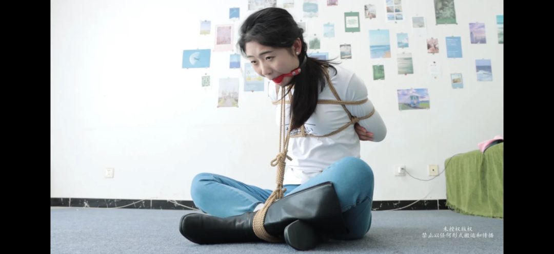 小姐姐家中劫-1