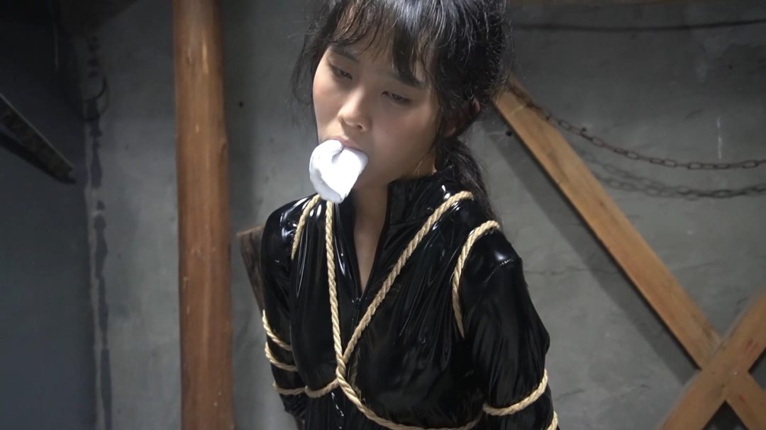 女特工历险 第二集-7