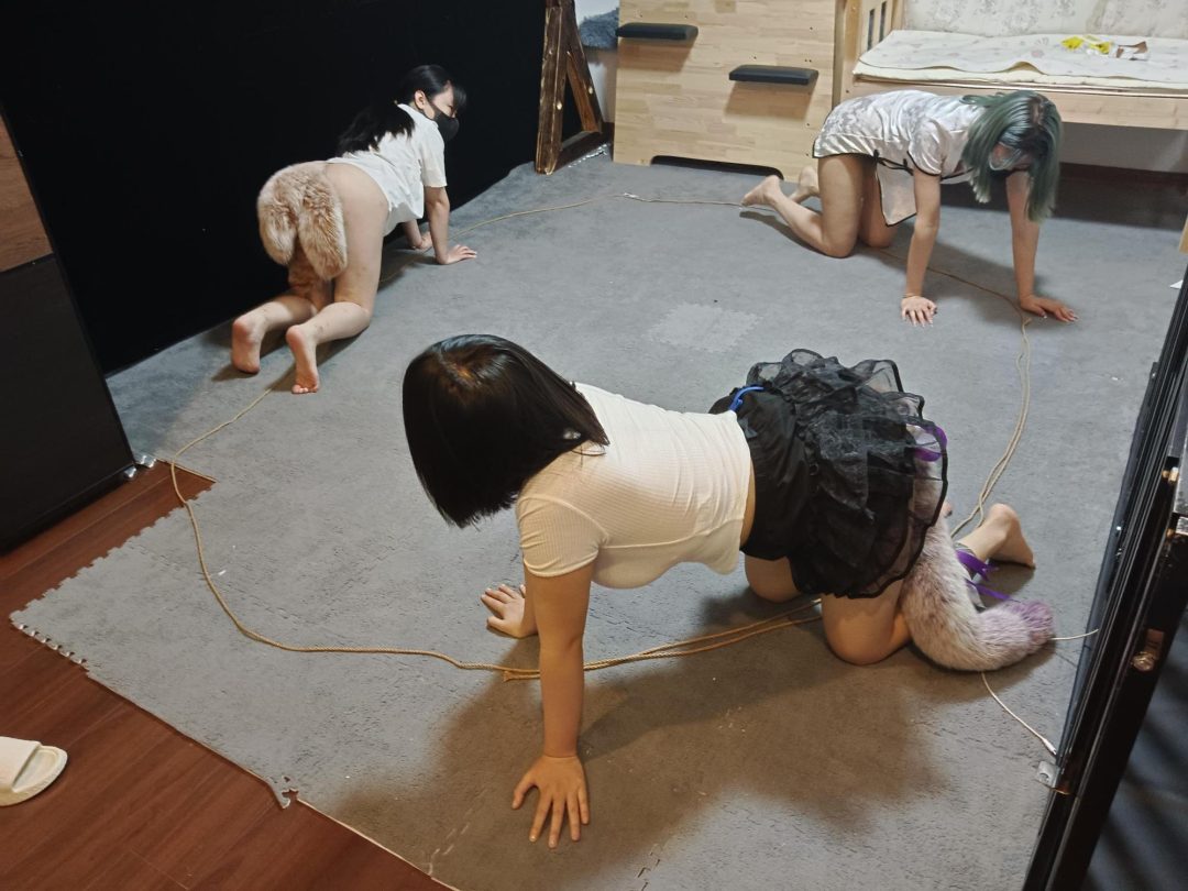 带尾巴之犬化训练-2
