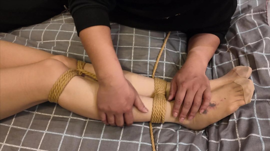 枫叶工作室定拍剧情片 独闯龙潭 第二集-1 枫叶工作室定拍剧情片 独闯龙潭 第二集-1