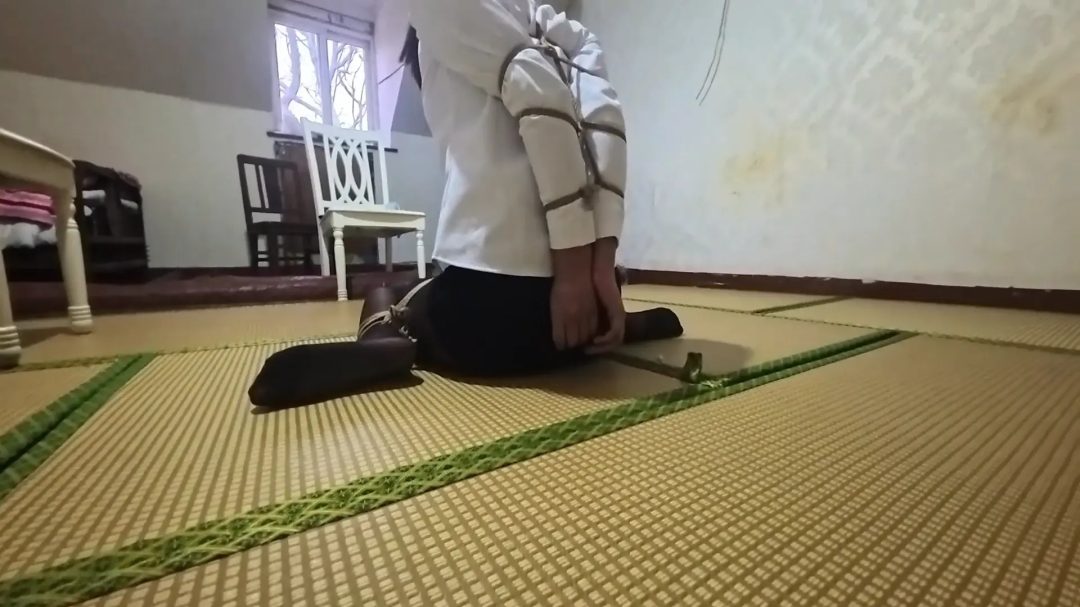 欧式直臂-1