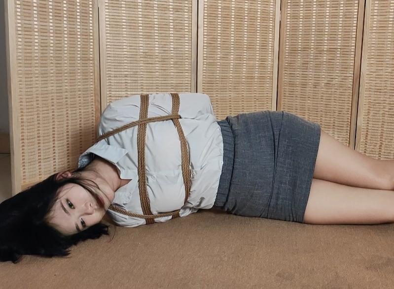 秘书小苏的捆绑大全集-6