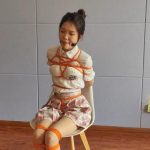 小雅日式驷马放置