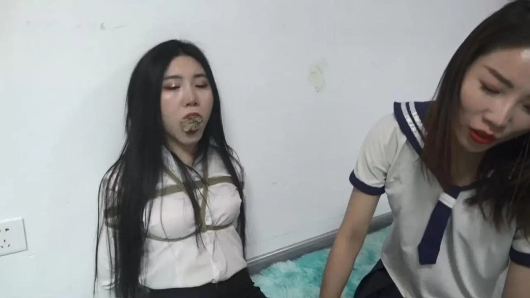 内衣失窃案全集-12