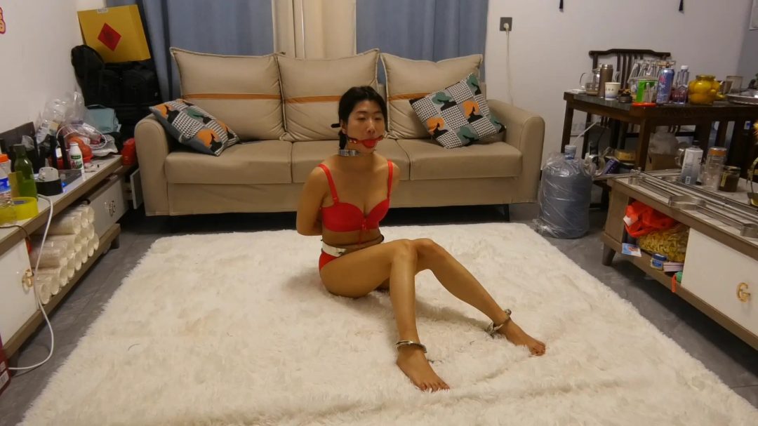 女主人的女仆奴-2