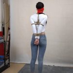 《美麗的奮鬥》系列