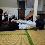 【路人】欧式直臂驷马可否在十分钟内挣脱束缚？