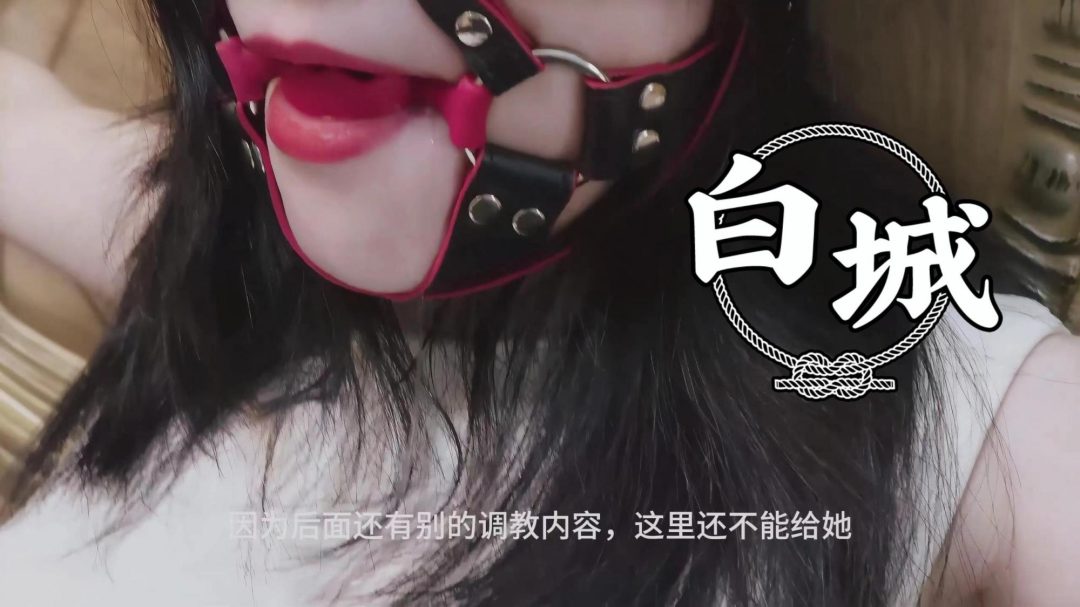 【白城出品】《孤注一掷II》(中集)-4 【白城出品】《孤注一掷II》(中集)-4