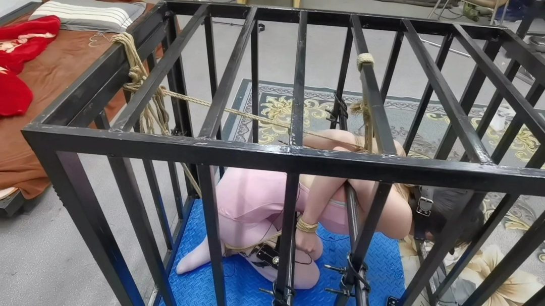 铁笼禁锢女无赖,强制,把灯拉灭后让女无赖幔慢挣扎去吧,是死是活听天由命吧.....-11