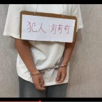 诈骗犯刘莉莉