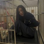 超美姐姐笼子捆绑下