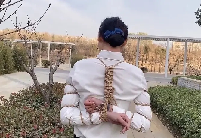 高挑气质女白领定排-10